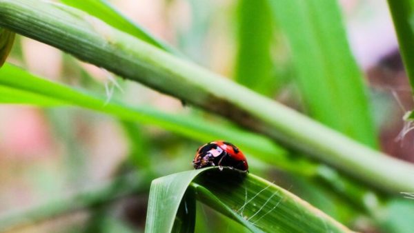 Tick Zoo Adventures: All You Need to Know Before Visiting