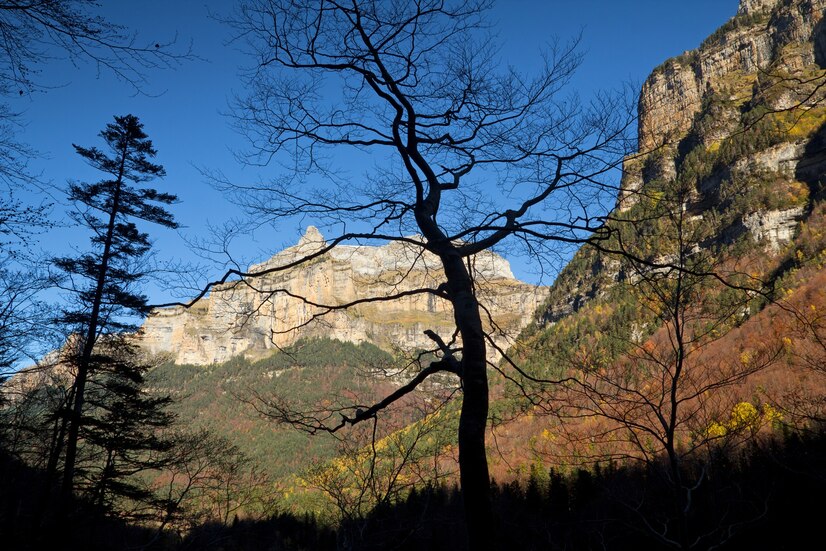 mount carmel wyoming shutting down