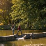 hogan park at highlands creek